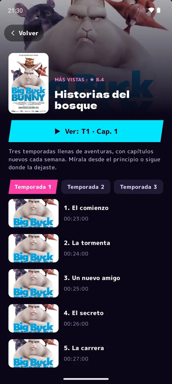 Ficha de una serie