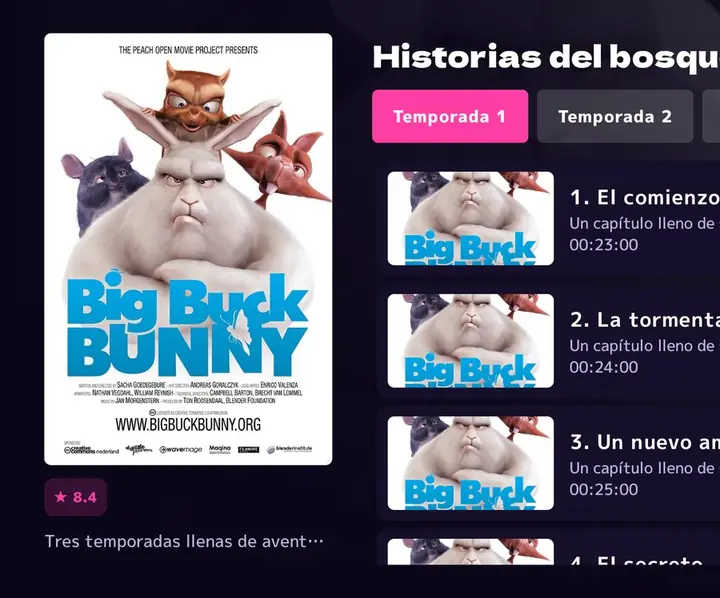 Ficha de una serie